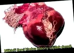 parasitologie parasitologie