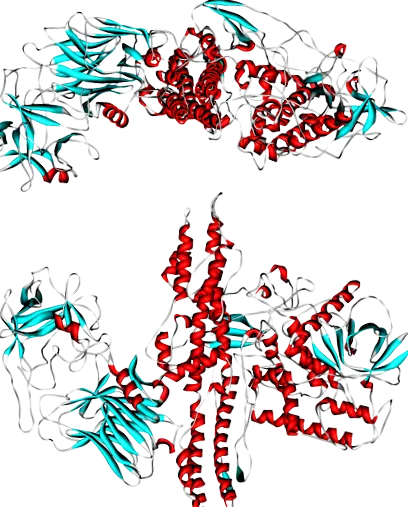 toxin