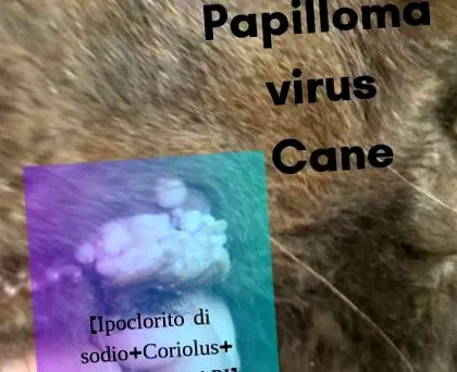 vírus