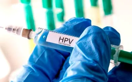 papillomavirus krebsentstehung
