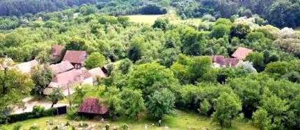 csirke galuskával