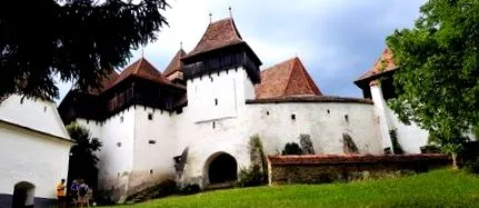 csirke galuskával