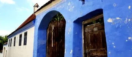 csirke csirke