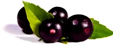 грипа acai