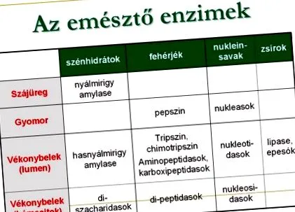 ефективен