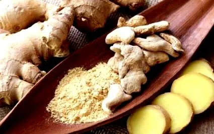 вени корена