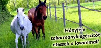 колко храня
