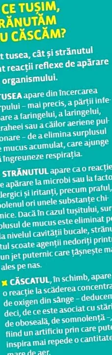légzőrendszer