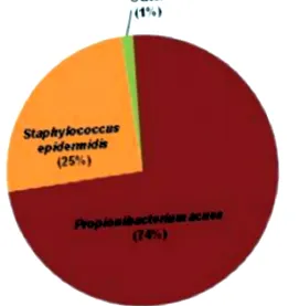 Pharma Business