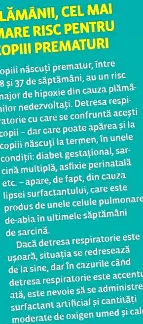 légzőrendszer