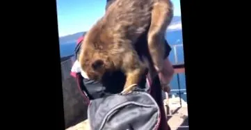 свято