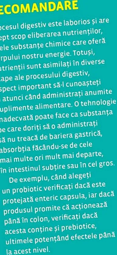 biztosító