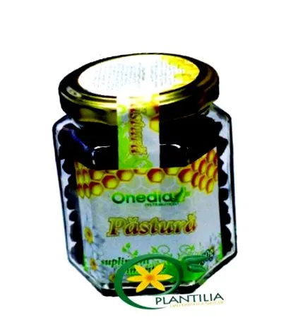 plantilia