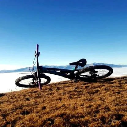 freerider