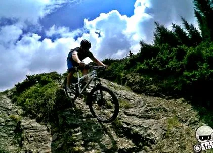 freerider