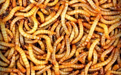 tablettákat