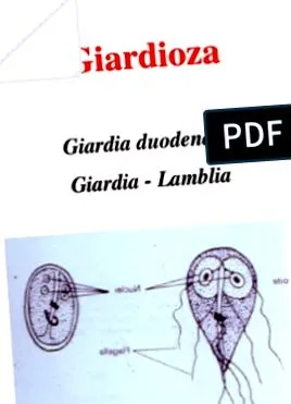 Giardia lamblia