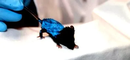 egeret