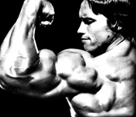 bicepsz