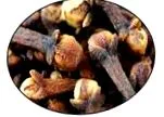 Phyto Plus-t
