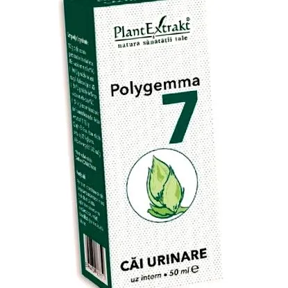 plantextrakt