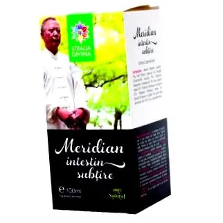 meridian intestin
