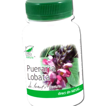 lobata lobata