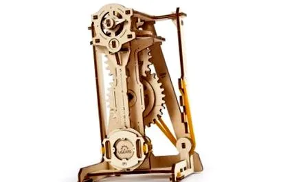 stem