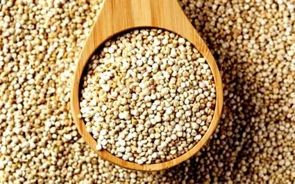 quinoa fogyasztható