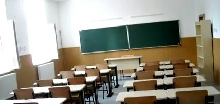 шани шани