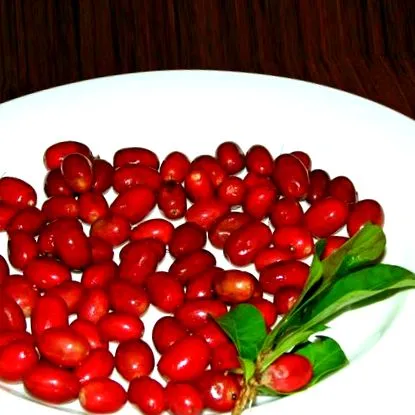 ajánlások ajánlások