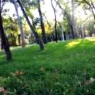 mihalache