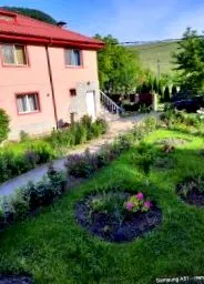 tekintse