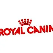 royal light