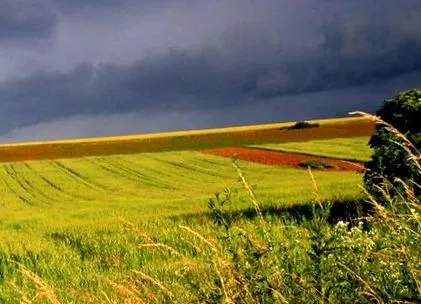 втрачає