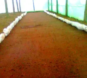 egymás után