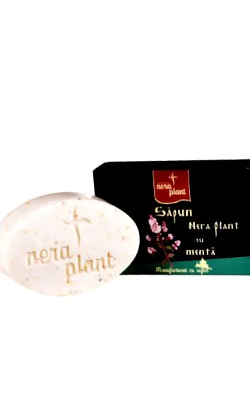 нане