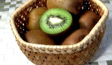 titok