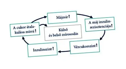 підшлункової залози