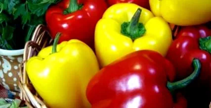 paprika