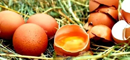 шкотланѓанец изгуби