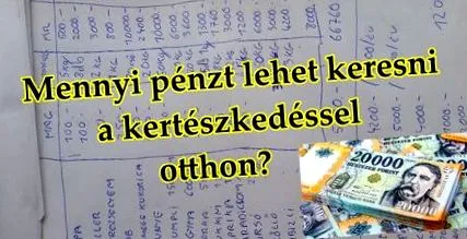 печелите