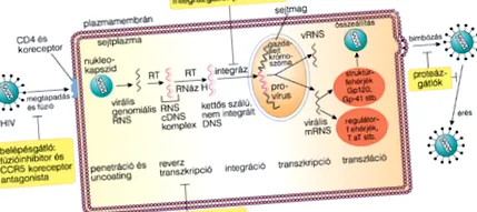 giardia