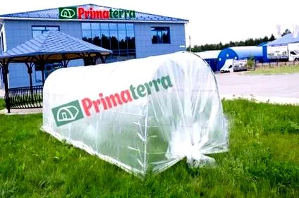 üvegház primaterra