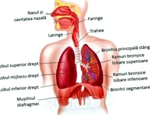 kilégzési térfogat