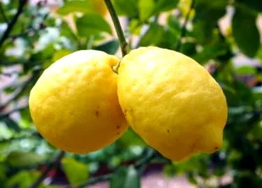 limonádéval