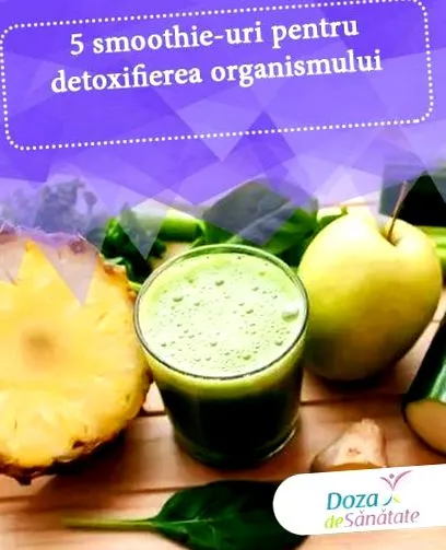 turmix turmixmal