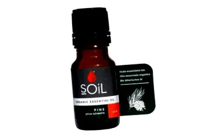 soil