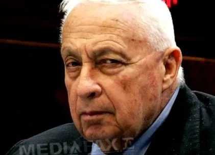 egészségi ariel