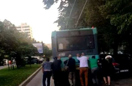 полесно